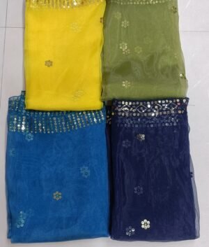 organza  double  border  seq allover for dupatta